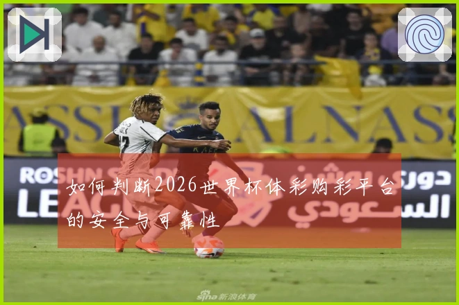 如何判断2026世界杯体彩购彩平台的安全与可靠性