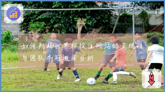 如何判断世界杯投注网站的正规性与团队夺冠概率分析