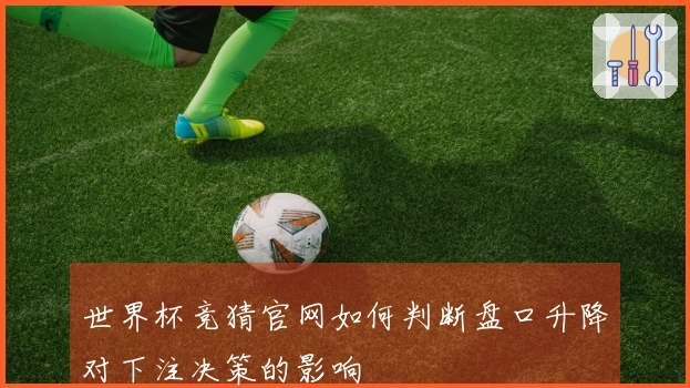 世界杯竞猜官网如何判断盘口升降对下注决策的影响