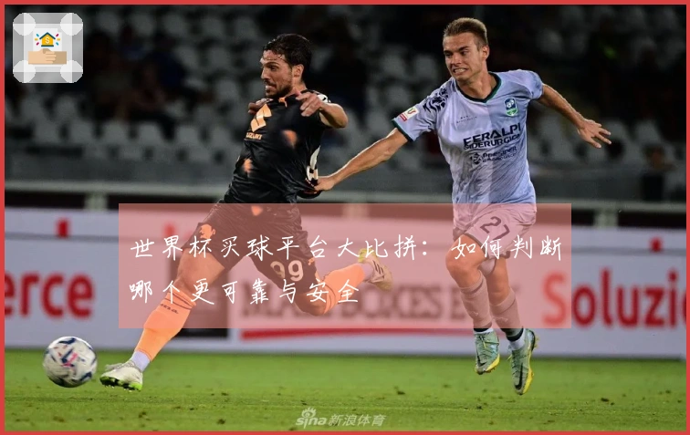 世界杯买球平台大比拼：如何判断哪个更可靠与安全