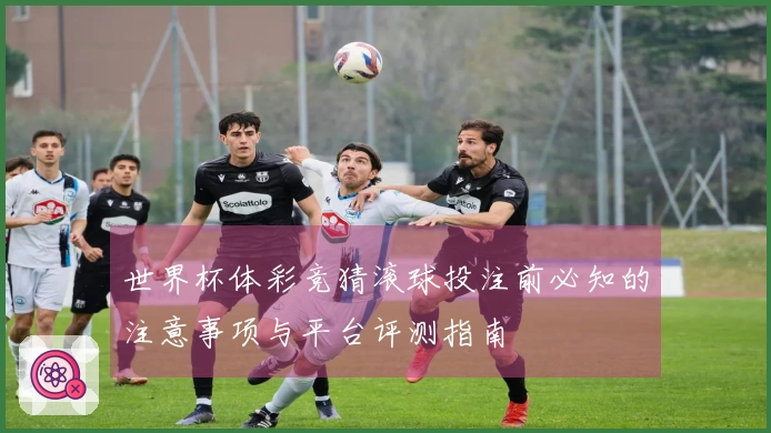世界杯体彩竞猜滚球投注前必知的注意事项与平台评测指南
