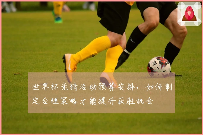 世界杯竞猜活动预算安排，如何制定合理策略才能提升获胜机会