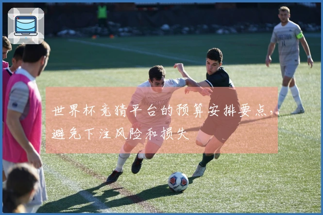 世界杯竞猜平台的预算安排要点，避免下注风险和损失