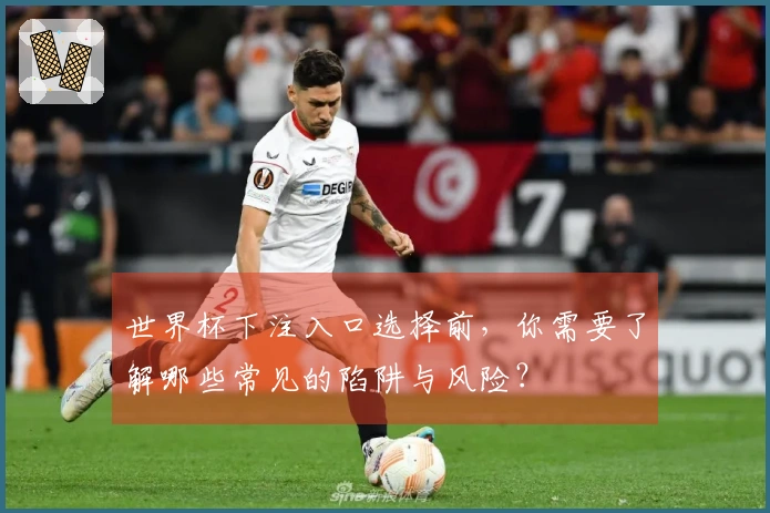 世界杯下注入口选择前，你需要了解哪些常见的陷阱与风险？