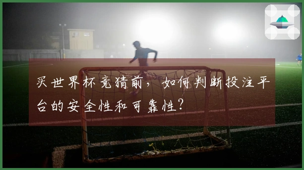 买世界杯竞猜前，如何判断投注平台的安全性和可靠性？