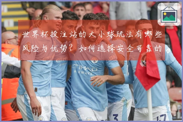 世界杯投注站的大小球玩法有哪些风险与优势？如何选择安全可靠的平台？