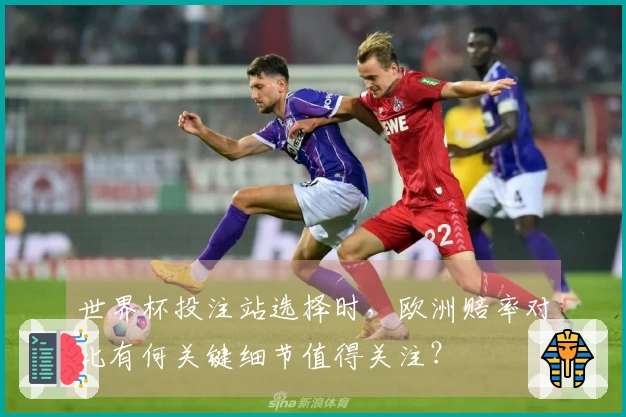 世界杯投注站选择时，欧洲赔率对比有何关键细节值得关注？