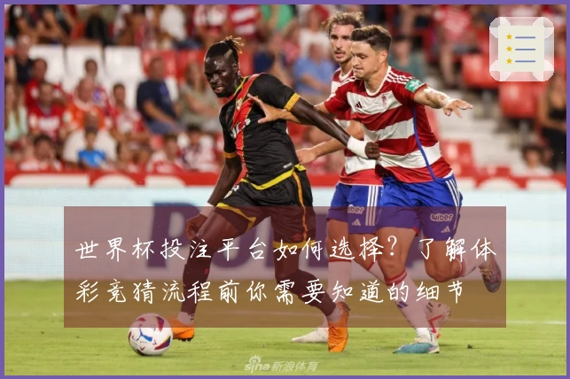 世界杯投注平台如何选择？了解体彩竞猜流程前你需要知道的细节