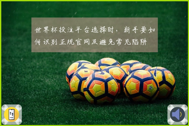 世界杯投注平台选择时，新手要如何识别正规官网及避免常见陷阱