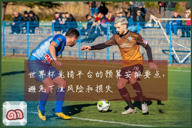 世界杯竞猜平台的预算安排要点，避免下注风险和损失