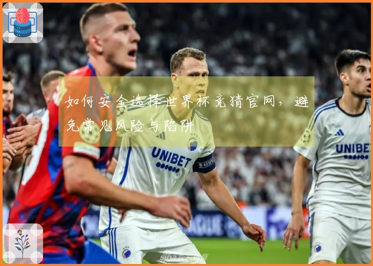 如何安全选择世界杯竞猜官网，避免常见风险与陷阱