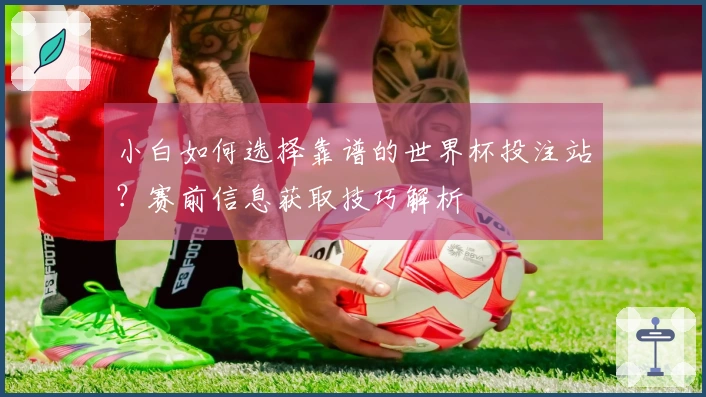 小白如何选择靠谱的世界杯投注站？赛前信息获取技巧解析