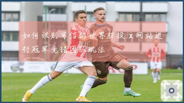 如何识别可信的世界杯投注网站进行冠军竞猜团队玩法