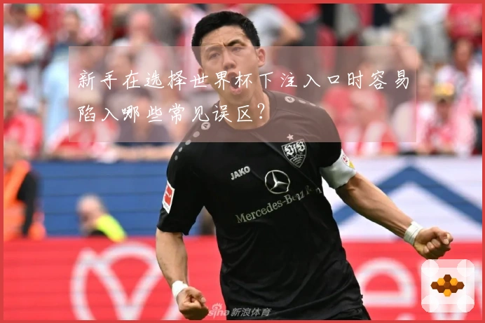 新手在选择世界杯下注入口时容易陷入哪些常见误区？