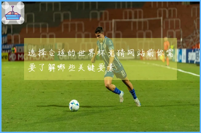 选择合适的世界杯竞猜网站前你需要了解哪些关键要素