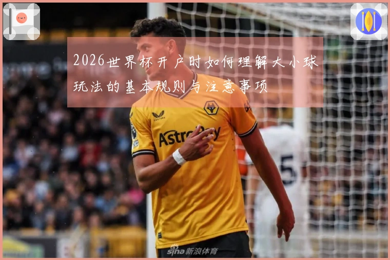 2026世界杯开户时如何理解大小球玩法的基本规则与注意事项