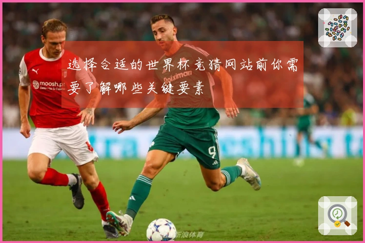 选择合适的世界杯竞猜网站前你需要了解哪些关键要素