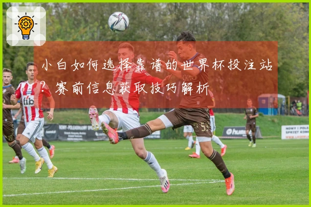 小白如何选择靠谱的世界杯投注站？赛前信息获取技巧解析