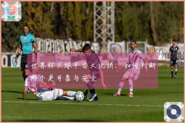世界杯买球平台大比拼：如何判断哪个更可靠与安全