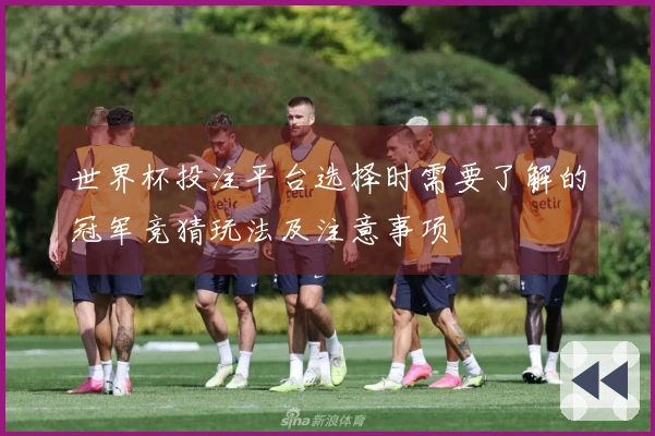 世界杯投注平台选择时需要了解的冠军竞猜玩法及注意事项