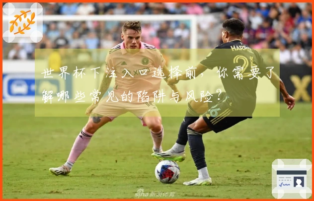 世界杯下注入口选择前，你需要了解哪些常见的陷阱与风险？