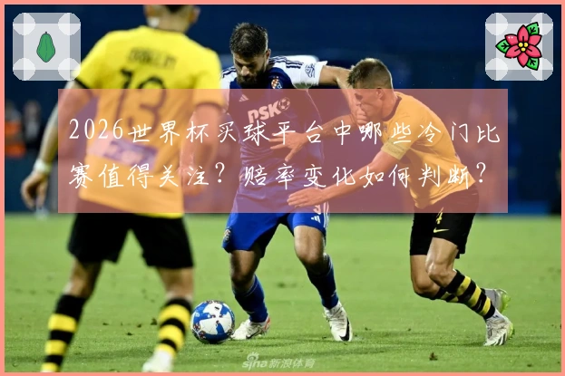 2026世界杯买球平台中哪些冷门比赛值得关注？赔率变化如何判断？