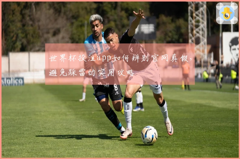 世界杯投注app如何辨别官网真假，避免踩雷的实用攻略