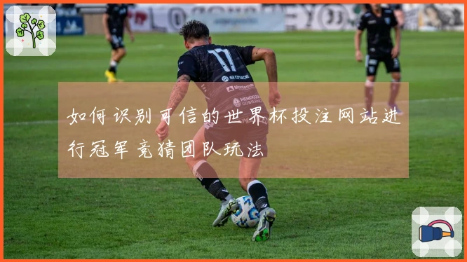 如何识别可信的世界杯投注网站进行冠军竞猜团队玩法