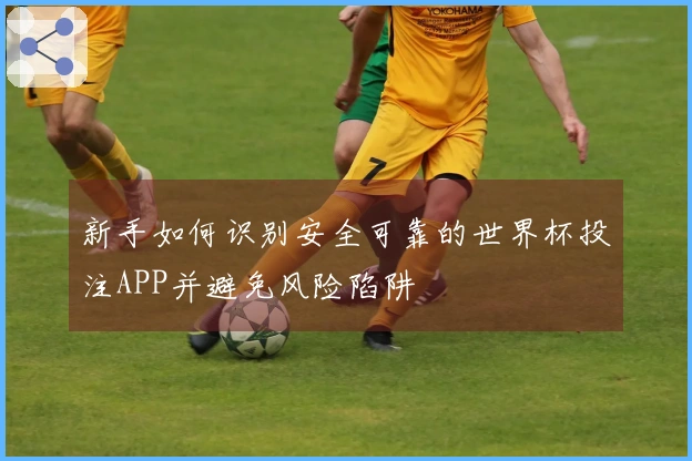 新手如何识别安全可靠的世界杯投注APP并避免风险陷阱